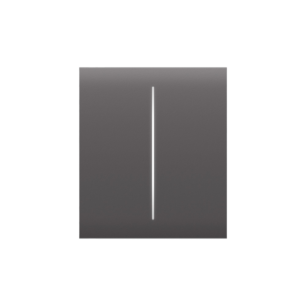 Кнопка Button (grey/серая) для LightSwitch CenterButton (2-gang) Ajax купить в Украине